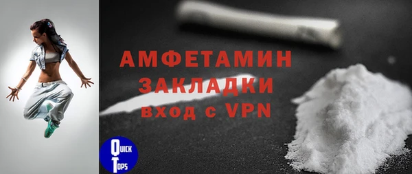 прущие грибы Заволжье