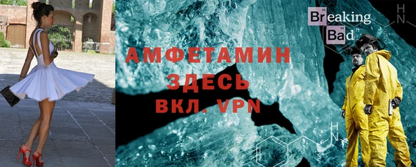 прущие грибы Заволжье