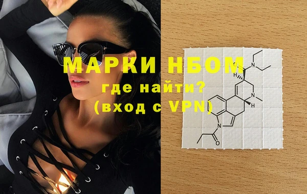 прущие грибы Заволжье