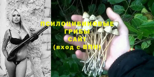 прущие грибы Заволжье