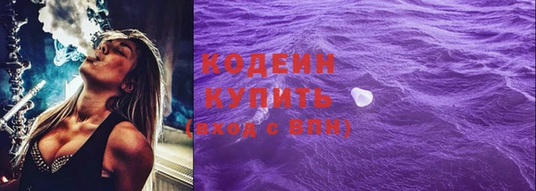 прущие грибы Заволжье