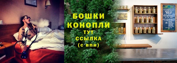 прущие грибы Заволжье