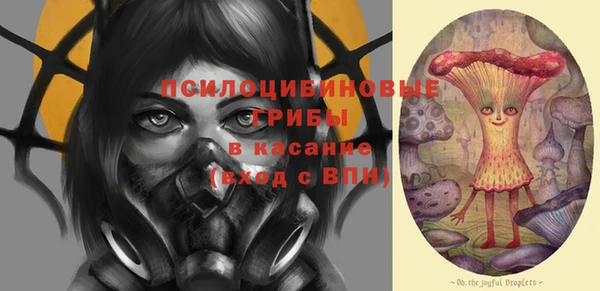 прущие грибы Заволжье