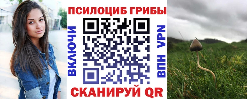 Купить где  Котовск  Псилоцибиновые грибы Magic Shrooms 